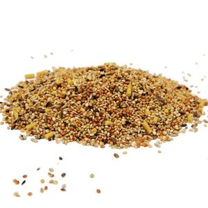 Корм для экзотических птиц FIORY Esotici