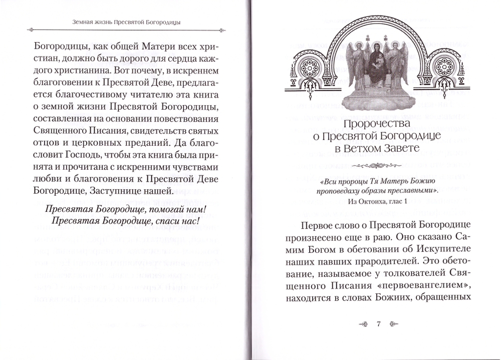Земная жизнь Пресвятой Богородицы