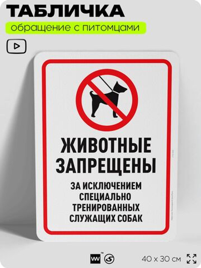 Табличка "Животные запрещены" на дверь и забор, для двора, дома, подъезда, 40х30 см, Silver Plane x Айдентика Технолоджи