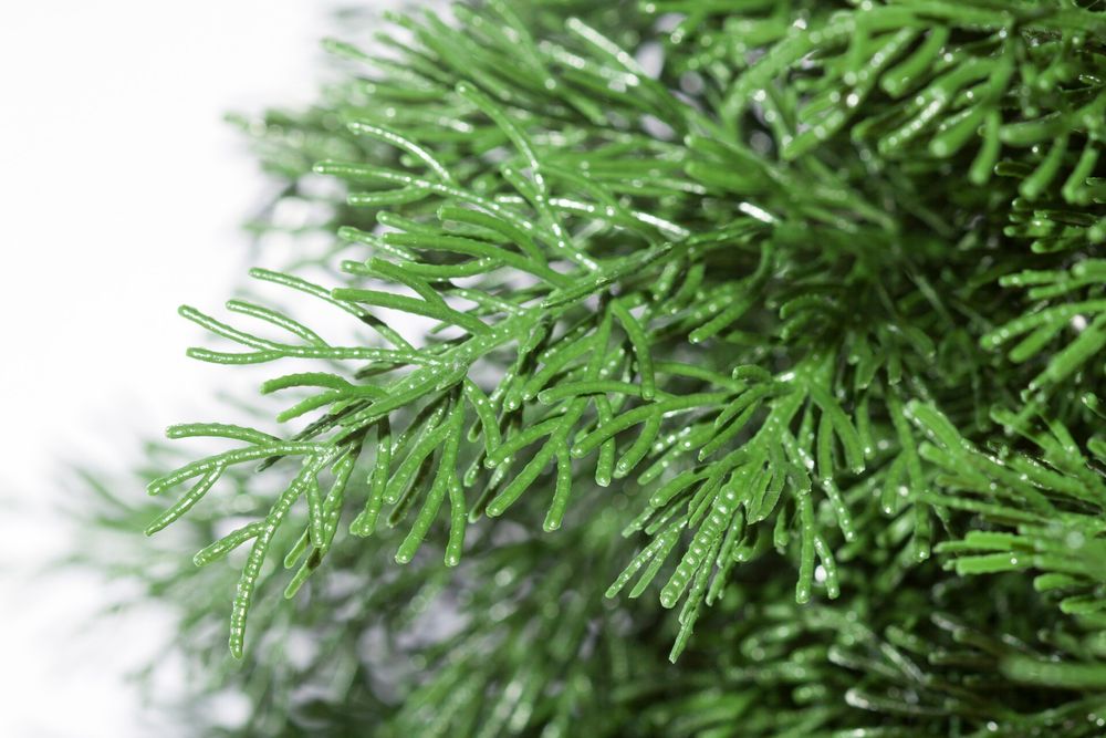 Искусственная Туя на стволе / на ножке (Литая хвоя) 150 см / 1,5 м