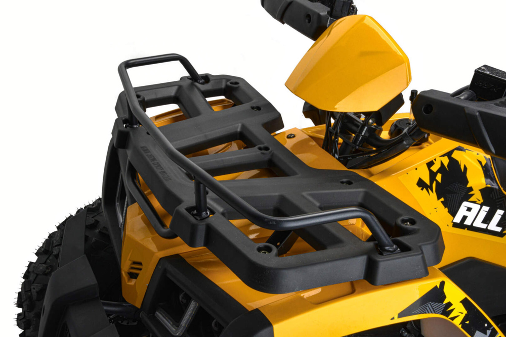 Квадроцикл MOTOLAND (МОТОЛЕНД) 200 ALL ROAD X (баланс. вал)