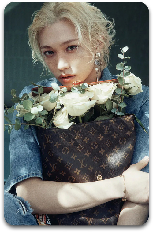 Карта / STRAY KIDS #2766