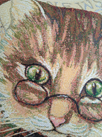 Декоративный гобеленовый чехол для интерьерной подушки Кот ученый 47х47