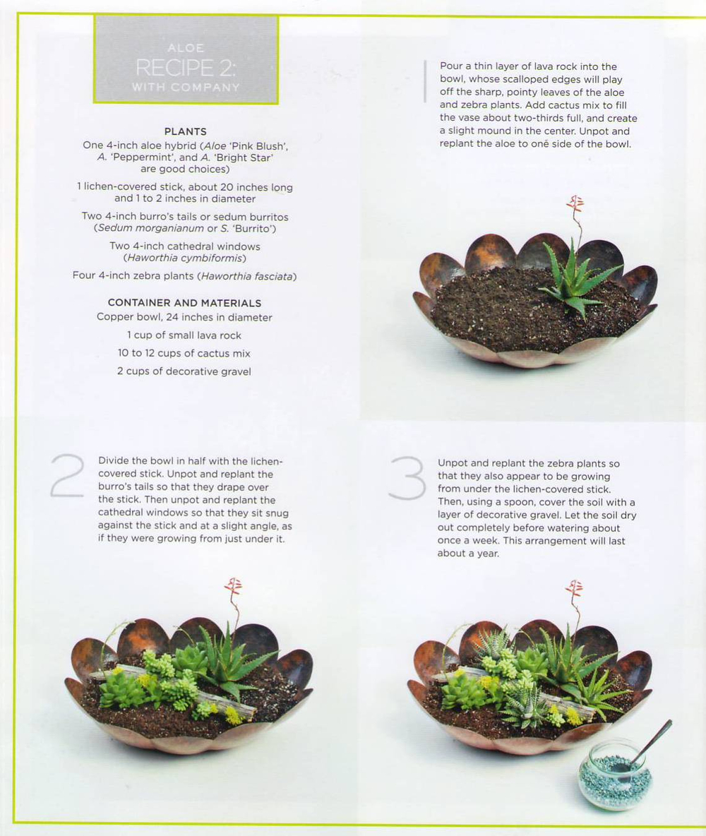 The Plant Recipe Book: 100 Living Arrangements for Any Home in Any Season
