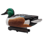 Широконос "FA-212530 LIVE NORTHERN SHOVELER SPOONBILL" FA 6 шт.