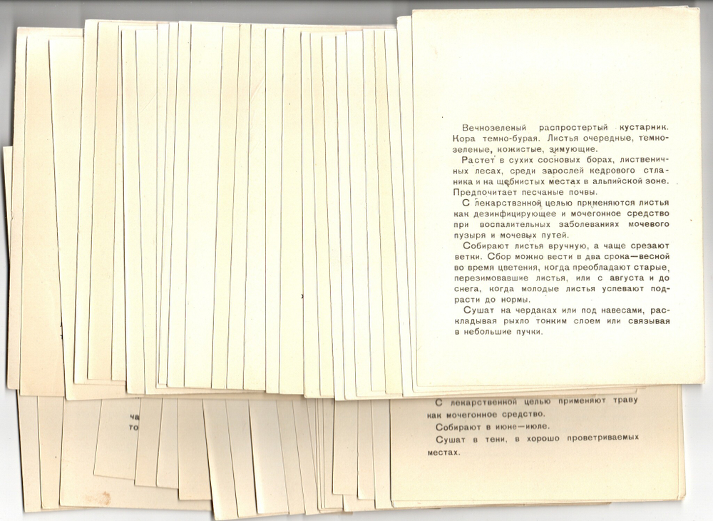 50 карточек Лекарственные растения. Медучпособие 1980 год