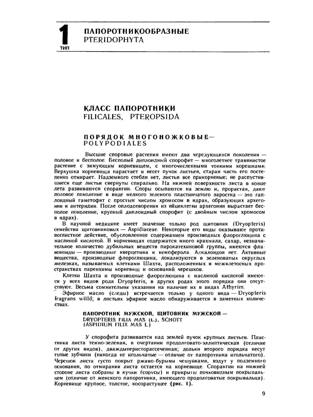 Дикорастущие лекарственные растения СССР | И.И. Гром