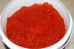 Икра форели слабой соли, Карелия (500г)