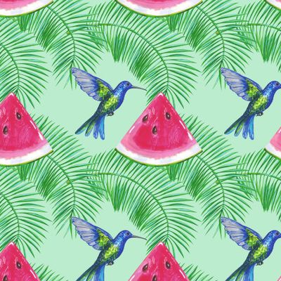 Колибри и долька арбуза