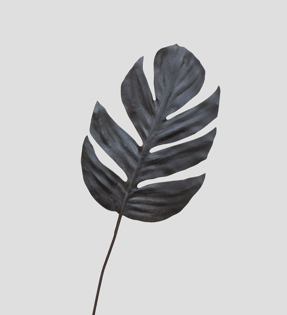 TR 571L Филодендрон