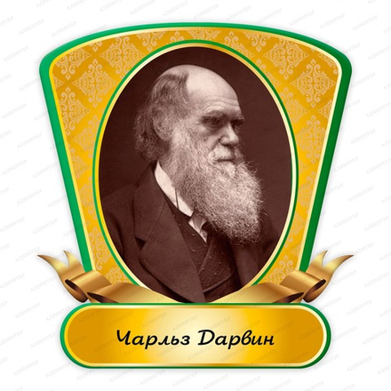 Портрет фигурный ЧАРЛЬЗ ДАРВИН Charles Darwin 2360