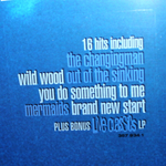 Paul Weller / Modern Classics (The Greatest Hits)(2LP)