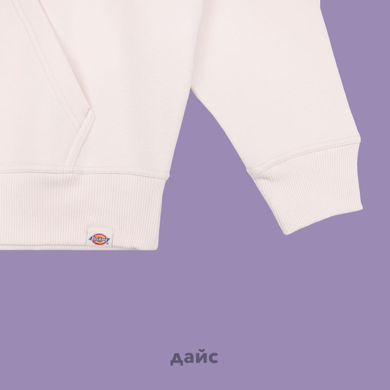 Толстовка мужская Dickies Enterprise Hoodie артикул:DK0A4Z2NF901 - купить в магазине Дайс