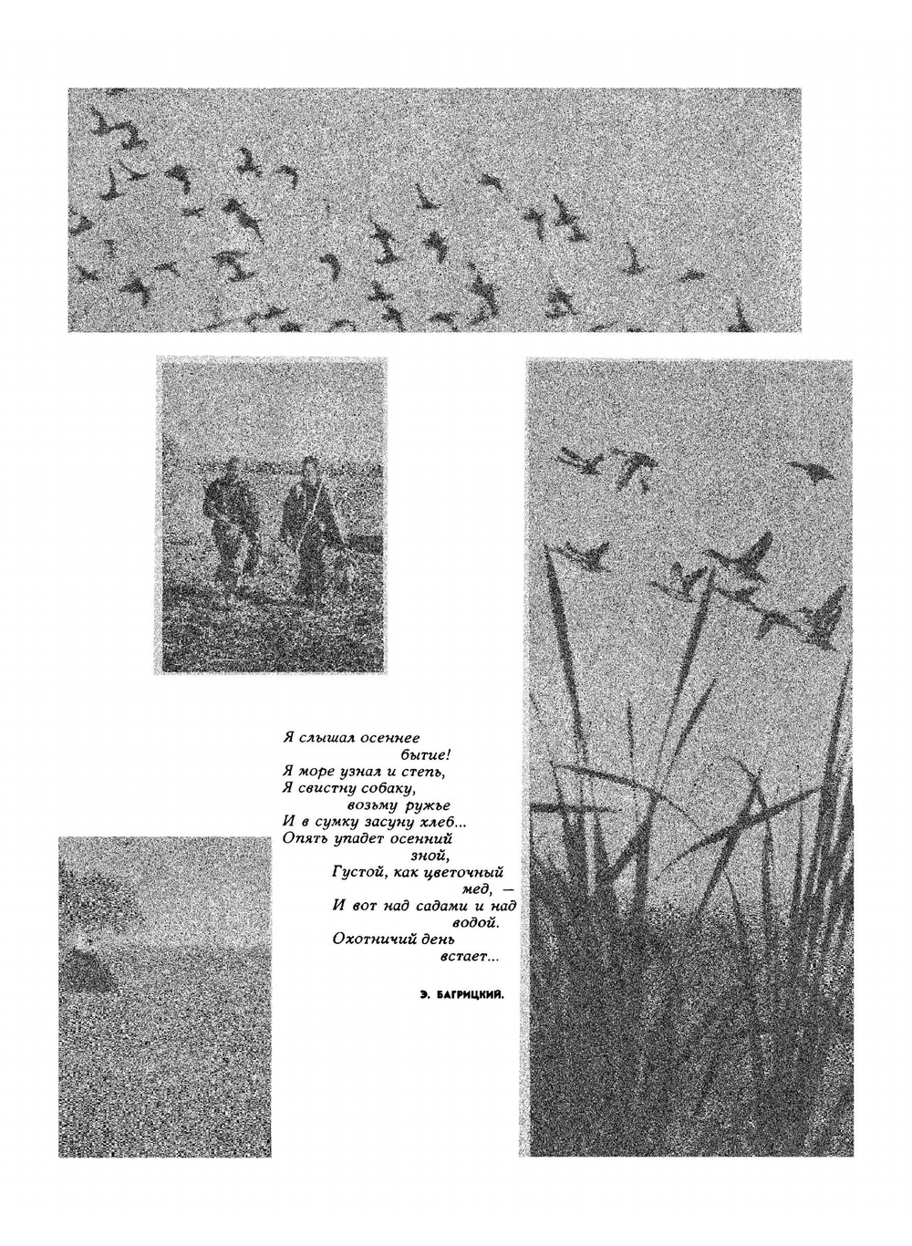 Журнал "Охота и охотничье хозяйство". № 08,1964 | Сборник