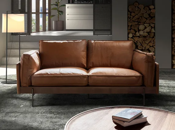 Диван 2-местный 6222 SL из табачно-коричневой кожи