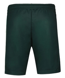 Теннисные шорты Le Coq Sportif Tennis Pro Short 24 N°2 - green