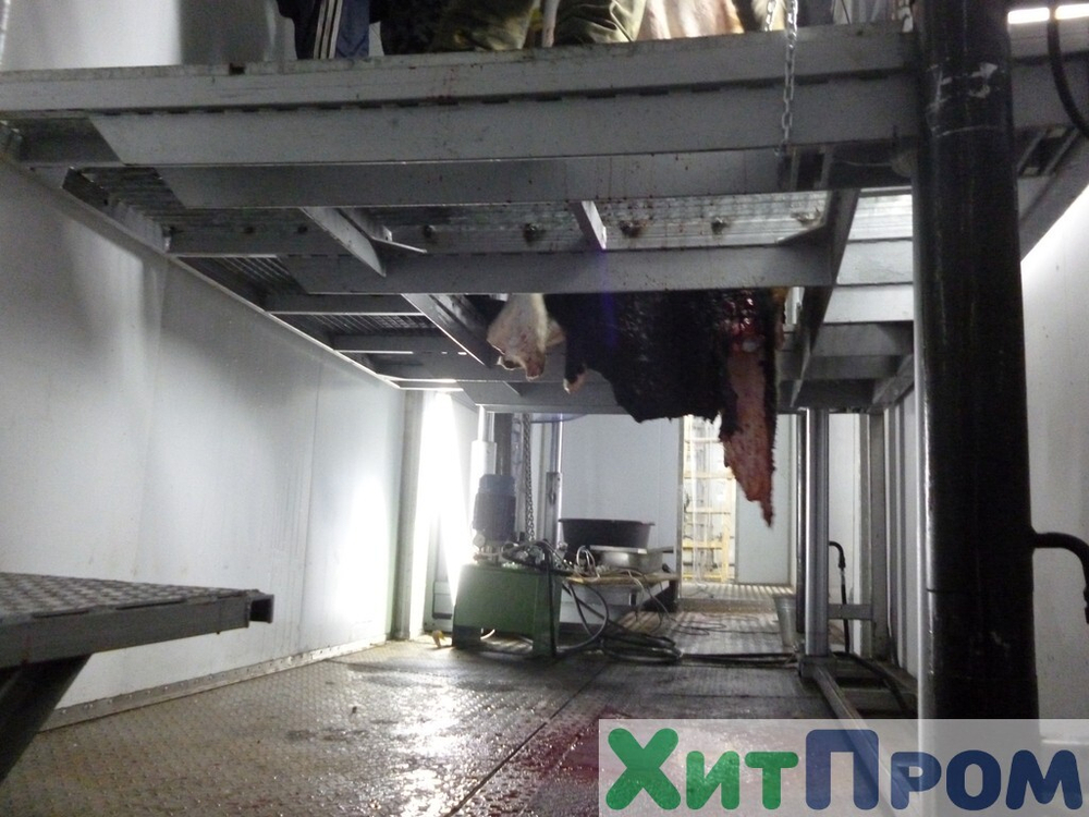 Комплекс убоя и переработки КРС до 20 голов/смена и МРС до 200 голов/смена. р. Татарстан