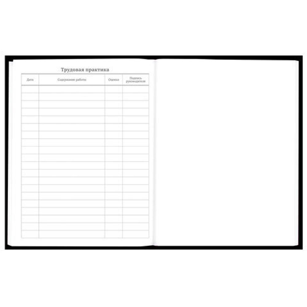 Дневник 5-11 класс 48 л., твердый, BRAUBERG, глянцевая ламинация, с подсказом, "Ты-Гы-Дык", 107184