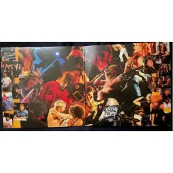 Guns N Roses - Use Your Illusion I Remastered 2022 LP