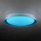 Потолочный светодиодный светильник Citilux Mega CL752451G