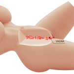 Телесный мастурбатор-торс Lily (Цвет: телесный)