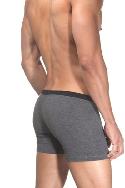Серо-черные трусы-боксеры Doreanse Supporters Boxer (Размер: L) (Цвет: серый с чёрным)