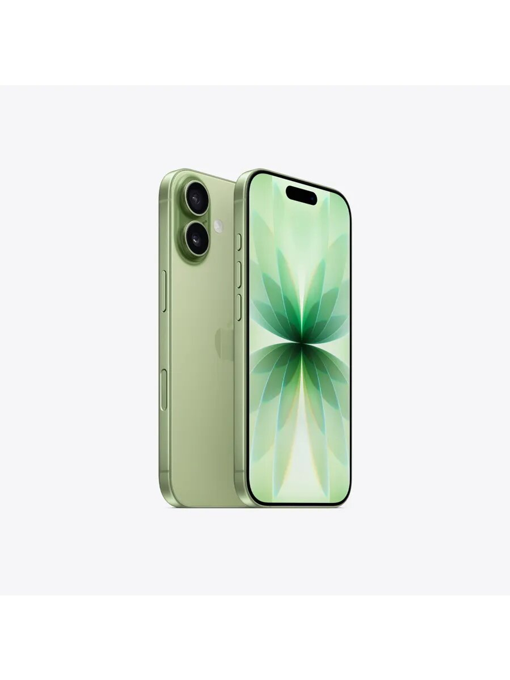 Смартфон Apple iPhone 17 256 Gb Sage (Зеленый) Sim+eSim Без RuStore и MAX