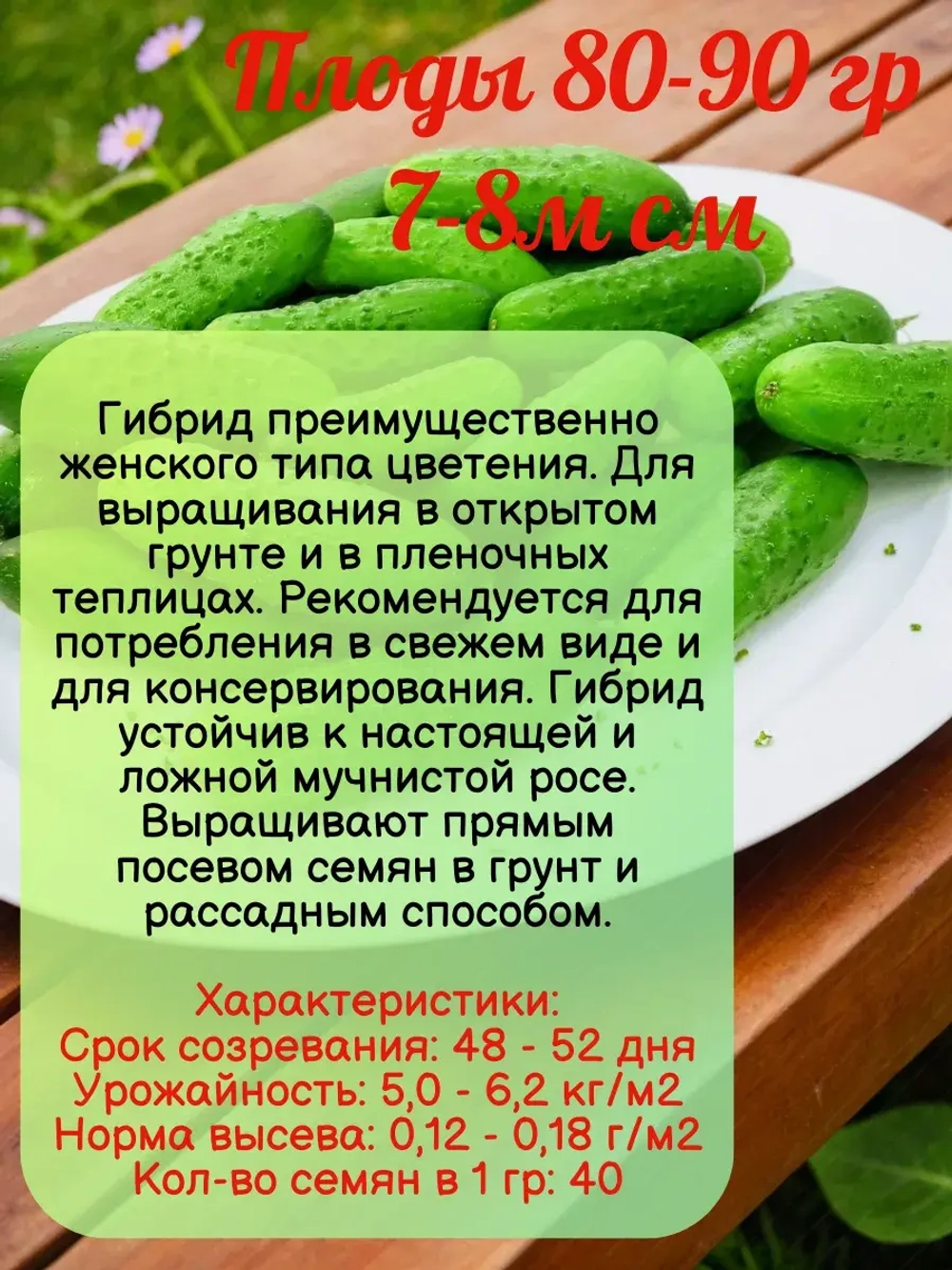 Семена Огурец Изобильный F1 Пчелоопыляемый раннеспелый 2гр