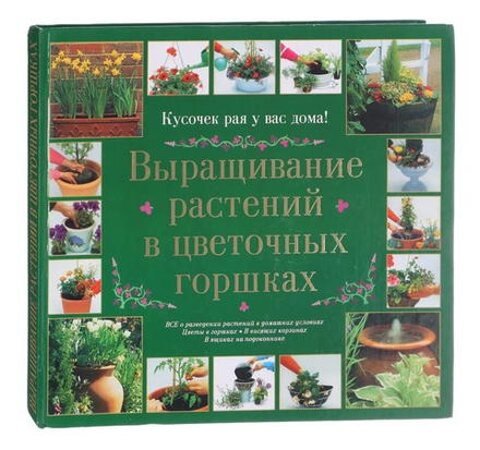 Выращивание растений в цветочных горшках