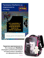 Рюкзак SkyName R8-032 + брелок мишка + мешок