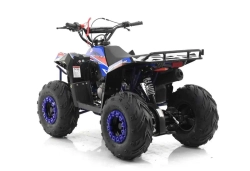 Квадроцикл MOTAX GRIZLIK A110