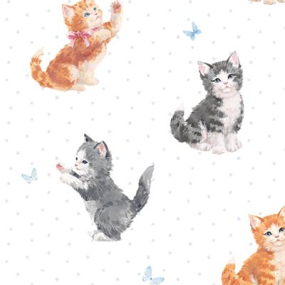 Котята
