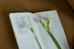 Ежедневник Nubuk, недатированный, синий