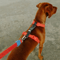 Поводок GRID 120 см Zee.Dog