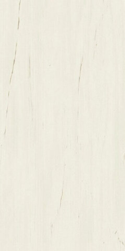 Atlas Concorde Marvel Stone Bianco Dolomite 60x120