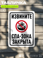 Табличка для бассейна "Извините, спа-зона закрыта", на пляж, для общественной и частной зоны отдыха, информационная, 40х30 см, Silver Plane x Айдентика Технолоджи
