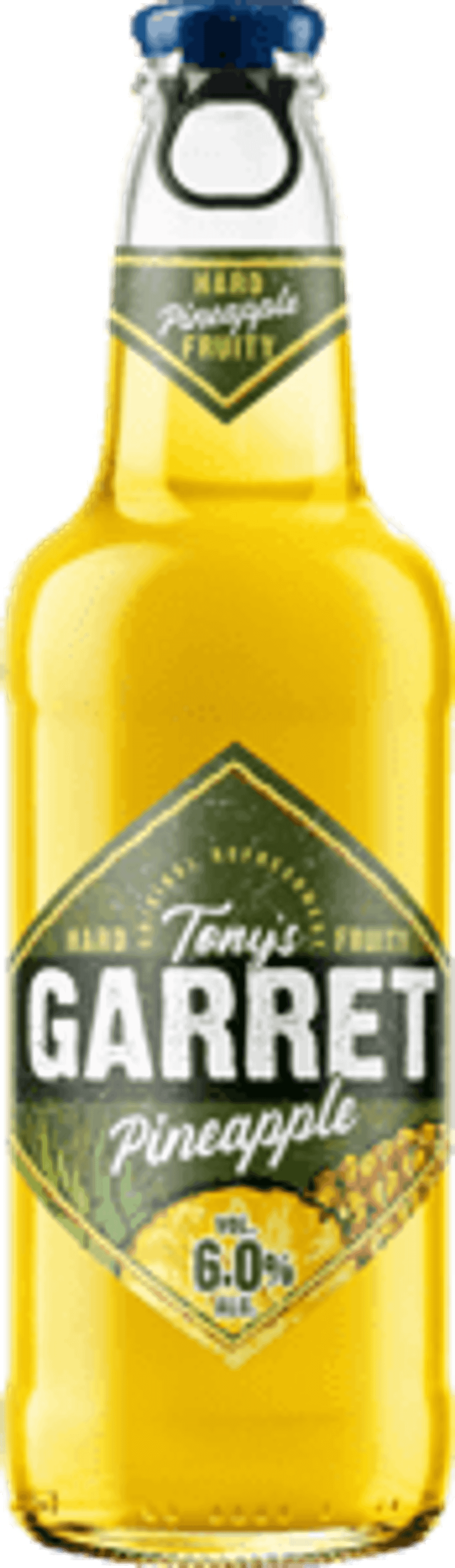 Гаррет АНАНАС 0,4/20