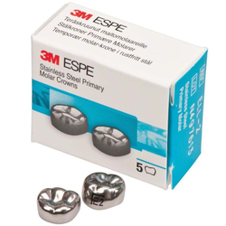 Второй нижний левый моляр, размер 2 (E-LL-2)