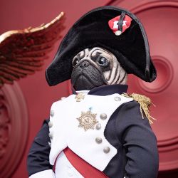 Кукла коллекционная Мопс Бонапарт