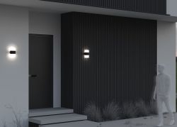 Уличный настенный светодиодный светильник Maytoni Rom O442WL-L12GF3K