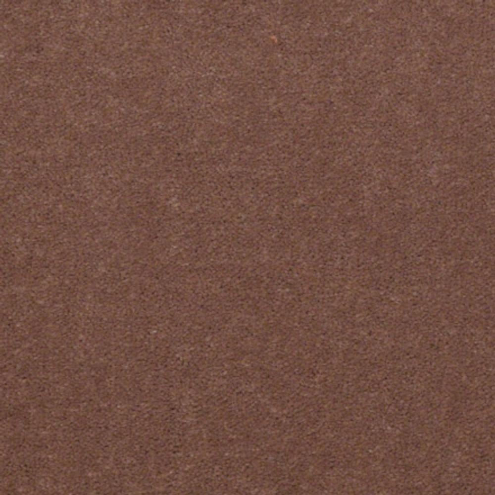 Ковровое покрытие Shaw Floors Emphatic II 30 56741 KOALA
