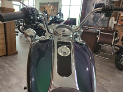 Freewheeler Harley-Davidson 2021 Snake Venom