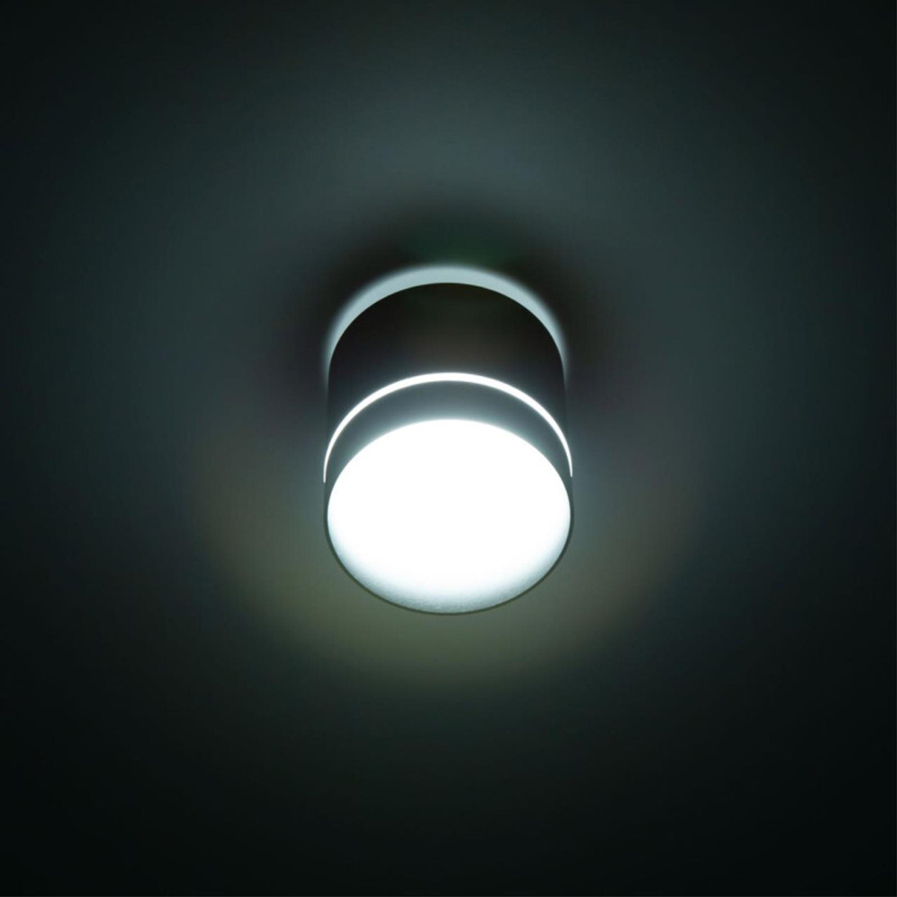 Накладной светильник Citilux CL745021N