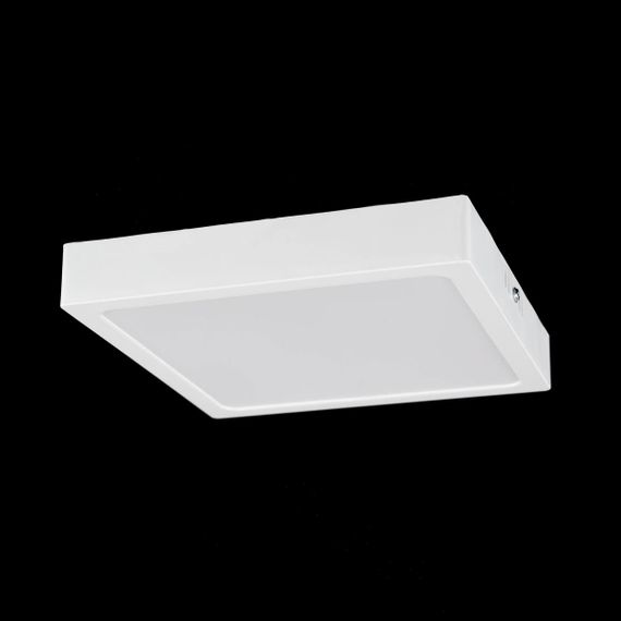 Накладной светодиодный светильник Citilux Галс CL55K22N