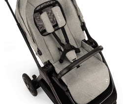 Коляска прогулочная Nuna TRIV Next BMW Graphene
