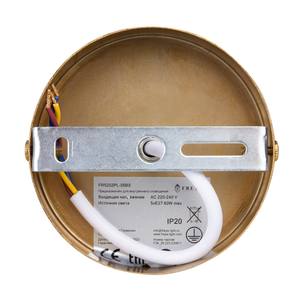 Потолочная люстра Freya Camelia FR5202PL-05BS