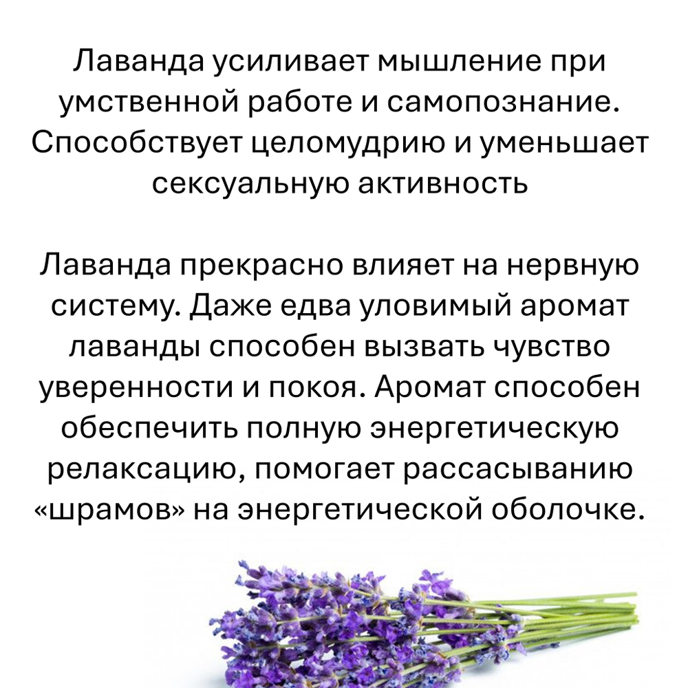 Лаванда, кубики восковые для ароматизации, 10 штук