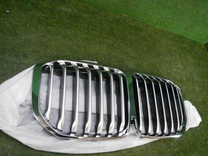 Решетка радиатора BMW X7 G07 (2019-2022)