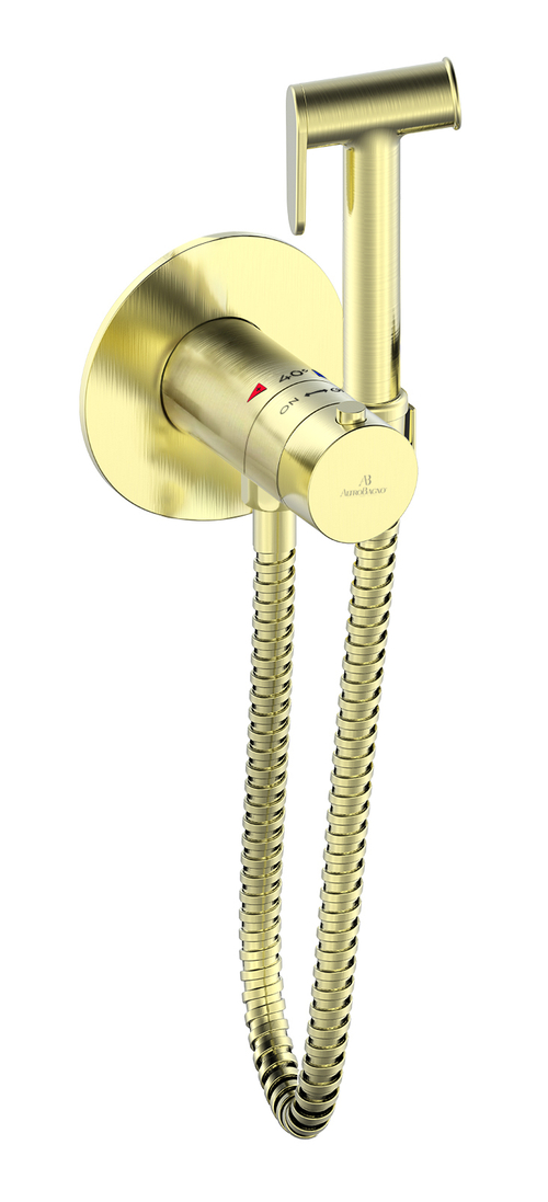 Гигиенический душ с термостатом AltroBagno Oggetto 060403 BG