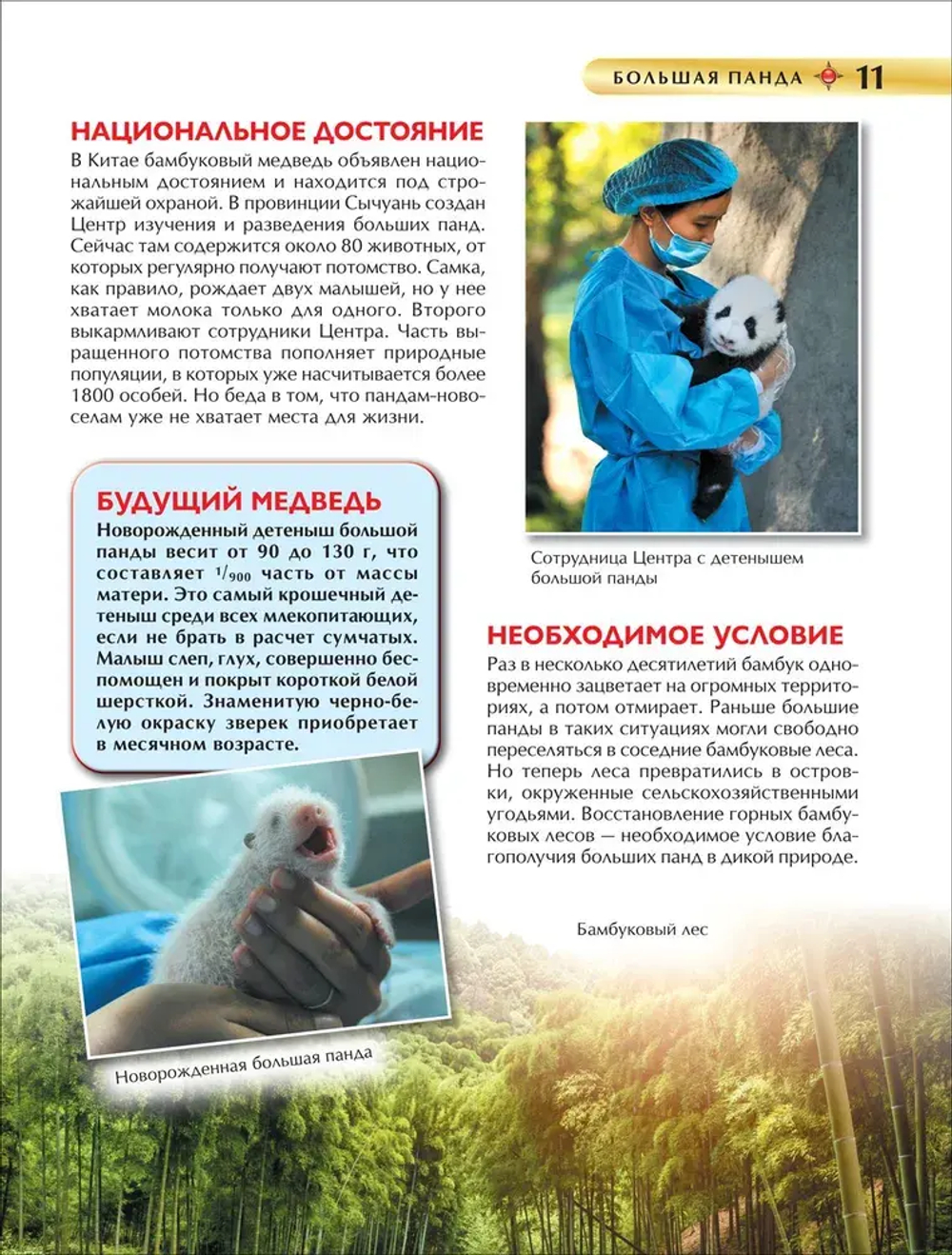 Красная книга. Детская энциклопедия